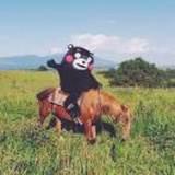 赵包包zZ🎵