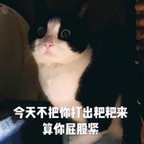 天雨流芳