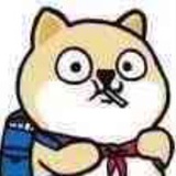 言川告水