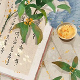 金蛇檀郎