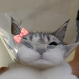 _相信