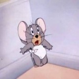 芒果干被我吃掉