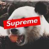 戴斯正