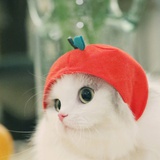 盈缺