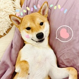 怪兽小姐