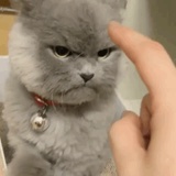 未设置昵称