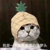 天上葵