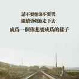 烟花沐融雪