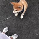 努力努力再努力