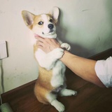 熊力文