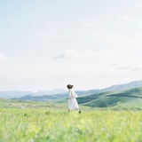 白小姐与木棉