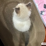 言语无用