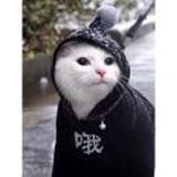 .Luv