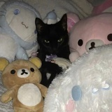 民主斗士成宝拉