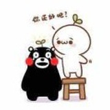 王他他