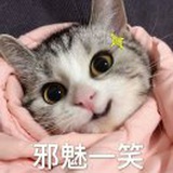 老大