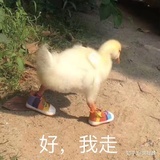 沈夺