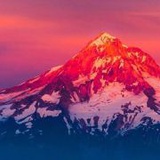 冷面虎都有人用