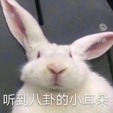 咚哩咚咚