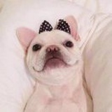 小鋼炮    ∞★