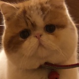 圆圈