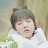 爱蜜瓜的dodo