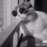 小云云云云云