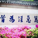 只怪洞太小