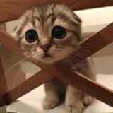 你猜我叫什么
