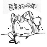 倔强的小囧兔