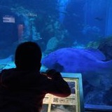 温吞水106