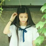 柠檬树下的猫