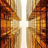 生如夏花之绚烂