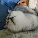 模模糊糊