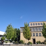 顺其自然弗兰克