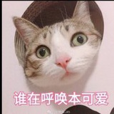 芒果酱