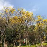 寒