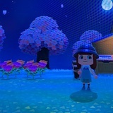 momoko_sly
