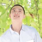 桃金勇健