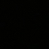 爱吃萝卜爱吃菜