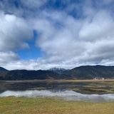 陈陈