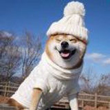 任静