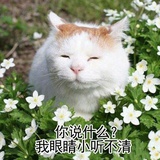 已注销