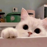 起风了