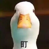 哈喽(*^_^*)