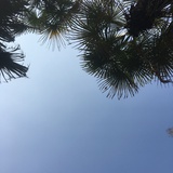 珂&阅宁