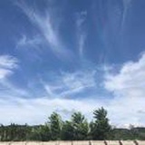 明心