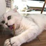 睡不醒的小跎啊