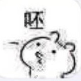 你绿帽真好看