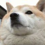 周洵澈